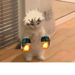 Chill Bruh Am buying pets
