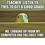 Birb Pro’s