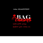 TheBagChasers