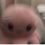 rvbxxy