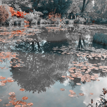 my 