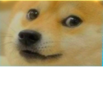 Doge yay