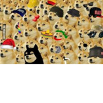 Team Doge Army Group