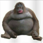 Monke United Army
