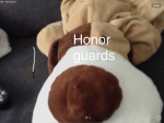 45th Honor guard division