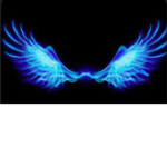 Wingxz Official Fan Group!!!