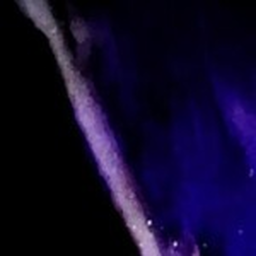 -- [{TH3 M4Z3 0FFIC4L}] --