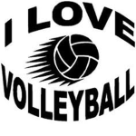 I love volleyball