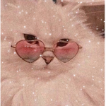 Bad Kittenz/Catz
