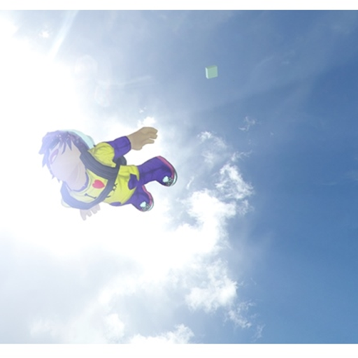 Skydive Down To Earth For Admin™