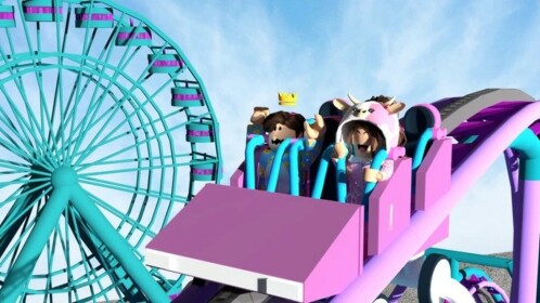 Waterpark and Theme Park Experience