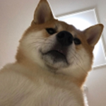 Roblox Nation League