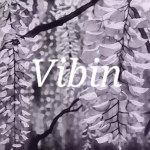 |•|Vibin|•|