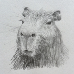 capybarians gang