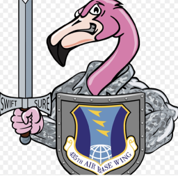 Flamingo Millitary's Place Number: 3