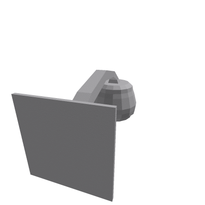 Security Camera 1