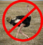 ostrich haters!!