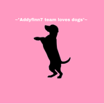 Addyfinn7 team loves dogs
