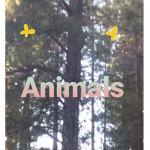 Animals : Our Environment.