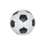 THE SOCCER FAN GROUPS