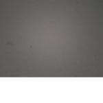 Berymint10