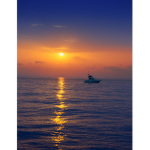 Horizon Sea Team