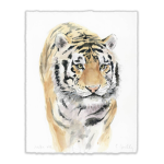 TIGERS UNITE!
