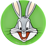 Mr. Bunny