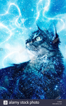 kitten demigods