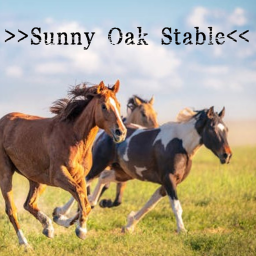 Sunny Oak Stable