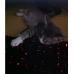 namelezs