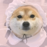 -*’+Dog Cafe+’*-