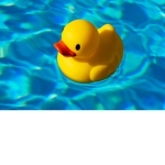 The Duckies Army