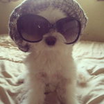 Chill out with me!