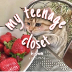 ღ my teenage closet Group Thumbnail