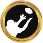 Ball Hawk