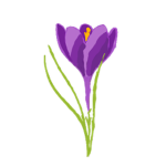 Violet Cafe™