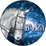 Bella Vista Riding Academy