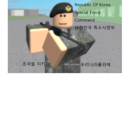 대한민국 육군특수전사령부 V I