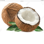 Coconut Crew!
