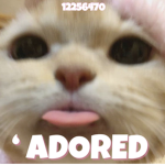 ‘ ADORED