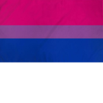 The bi group