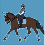 Sliver-Glen Riding School
