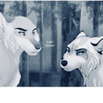 Lost paws