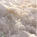 ~Iceful~