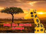 Giraffe Group!<3