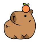 The fans of @capybara
