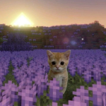 ᴍɪʟᴋ ᴀɴᴅ ᴄᴏᴏᴋɪᴇꜱ