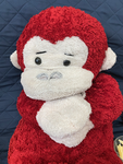 Monkeys R Forever