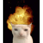 CHICO ROJIZO OFICIAL